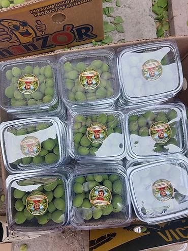 чудо фрукт: Зеленые абрикосы 🫒🤤 баткен кок оруктору (королор) свежие натуральные — 5