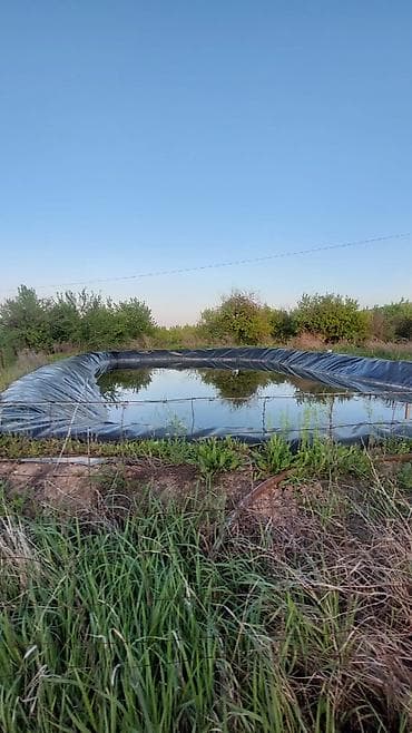 сдаю дом: 120 соток, Для бизнеса, Договор купли-продажи — 6