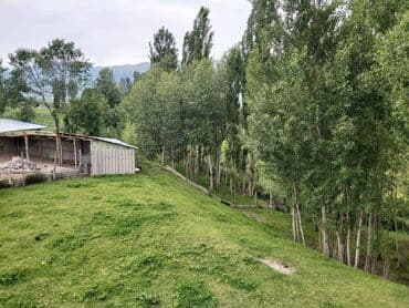дом в сукулуке: Дом, 999999999 м², 5 комнат, Собственник — 4