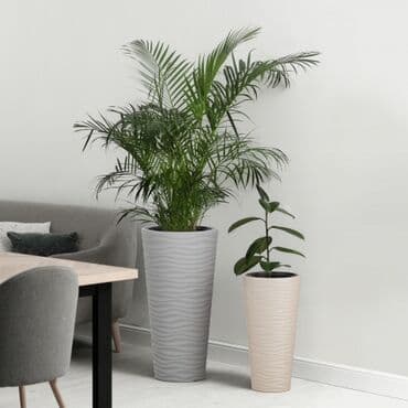 оазис агро ош: Декор для дома и сада — 2