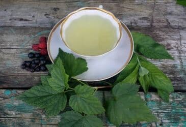 малина маравелла: Продаю листья малины и смородины свежие листья. Пучками в районе — 2