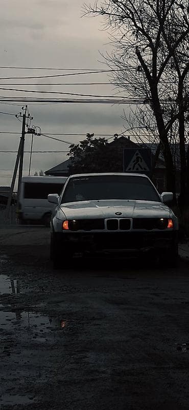 BMW 5 series: 1991 г., 2.5 л, Механика, Бензин, Седан