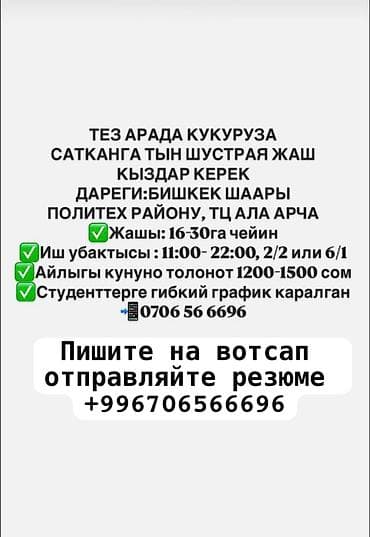 работа для школьниц: ТЕЗ АРАДА КУКУРУЗА САТКАНГА ТЫН ШУСТРАЯ ЖАШ КЫЗДАР КЕРЕК ДАРЕГИ:БИШКЕК — 1
