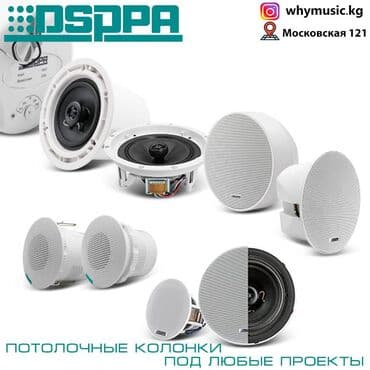 потолочный манитор: Потолочные встраиваемые колонки под любые проекты для магазинов — 1