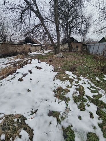 бир: 6 соток, Бизнес үчүн, Кызыл китеп, Сатып алуу-сатуу келишими — 2