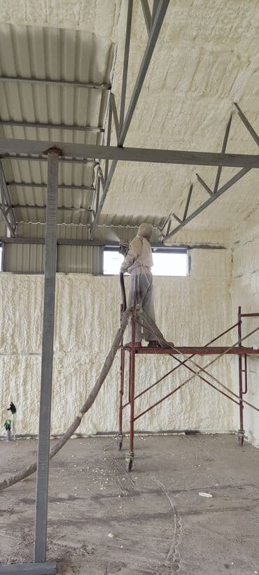 утепление пеной цена бишкек: Утепление крыши, Утепление потолоков | Утепление квартиры, Утепление контейнера, Утепление хранилища | Пенополиуретан, Penoplex, Пенополистирол Больше 6 лет опыта — 1