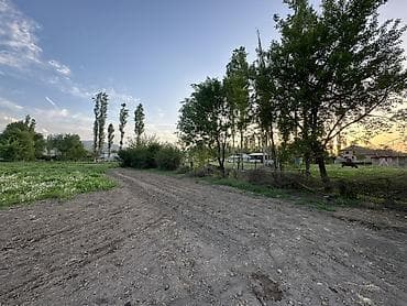 пш метр: 10 соток, Айыл чарба үчүн — 2