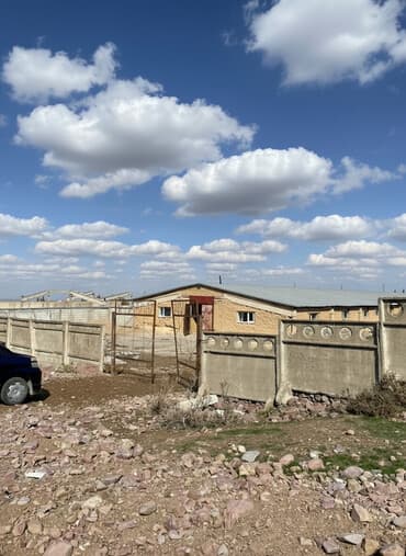 куплю дом в новопакровке: Продаю Ферма КРС, 40 соток, Действующий — 2