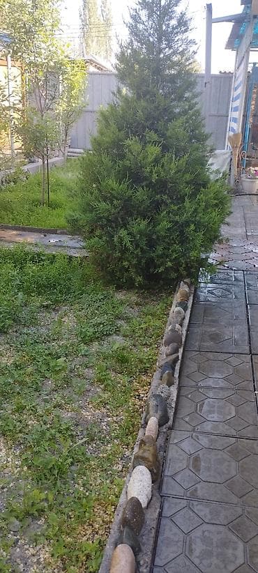 гаражи для машин: Срочно Продаю дом барачного типа с мебелью . Кирпичный завод. район — 7