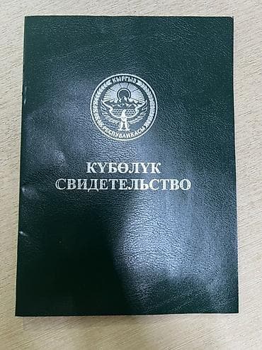 дом участка: 58 соток — 1