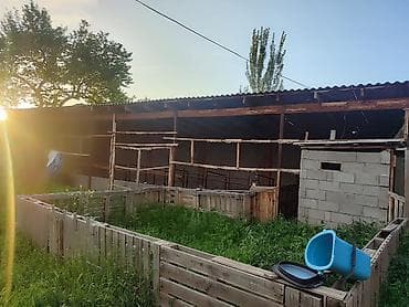 каркасные бассейны б у: Продаётся жилой дом с хозяйственными постройками и огороженным двором — 5