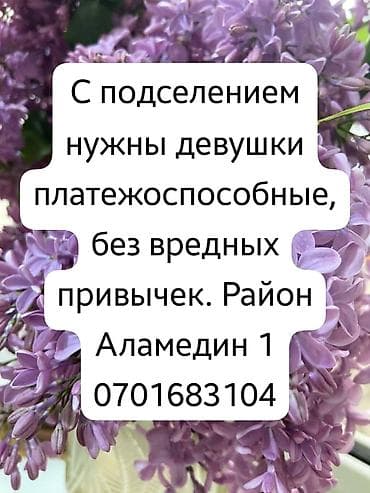 подселение 1 комната: 35 м², С мебелью — 1