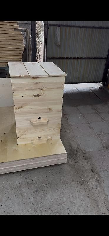 прием яблоки: Ящик, Новый — 1