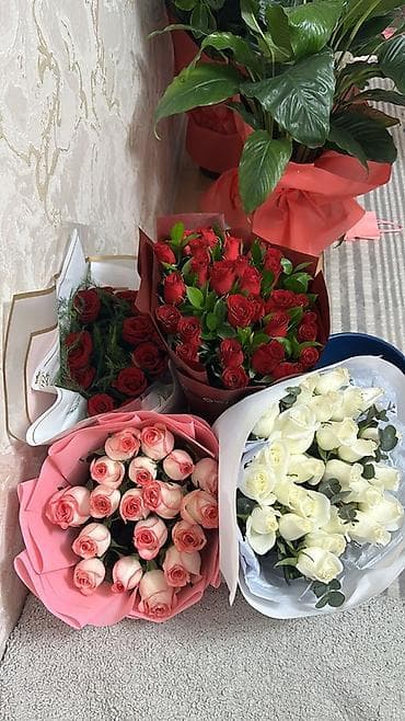Букеты из роз - Ассортимент: классические красные, нежные