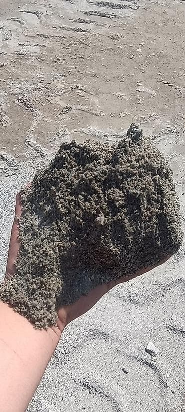 драбилка камен: ОТСЕВ МЫТЫЙ И ЧИСТЫЙ 🏗️🚛 Качественный отсев для стройки и — 6