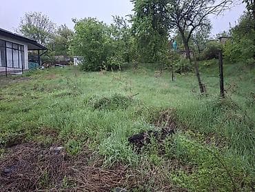 Земельные участки: 4 соток, Для строительства, Красная книга — 7