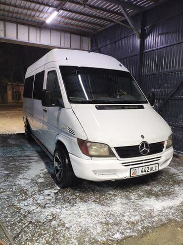 тонировка продаю: Mercedes-Benz Спринтер: 2004 г., 2.2 л, Механика, Дизель, Бус — 1