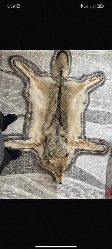 кийиз чокой: Килем — 2