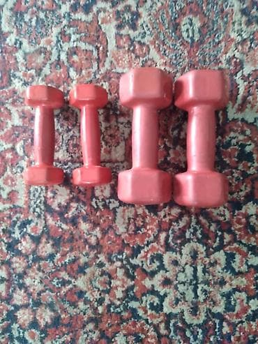 Боз үй: Комплект для домашней тренировки Состав: - Два колеса для пресса — 6