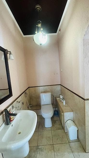 200 м², 5 бөлмө, Жаныбарлар менен болот — 10