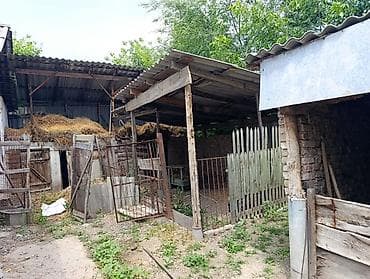 Земельные участки: 12 соток, Красная книга — 6