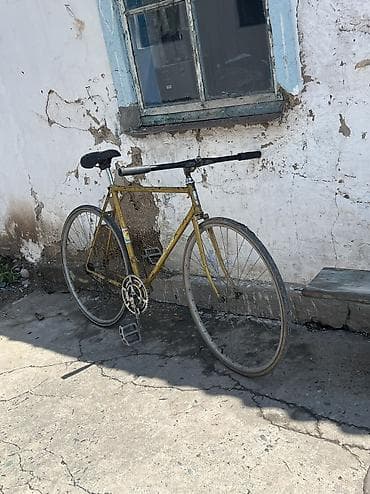 потолок степ: Городской/шоссейный велосипед в классическом исполнении — 1