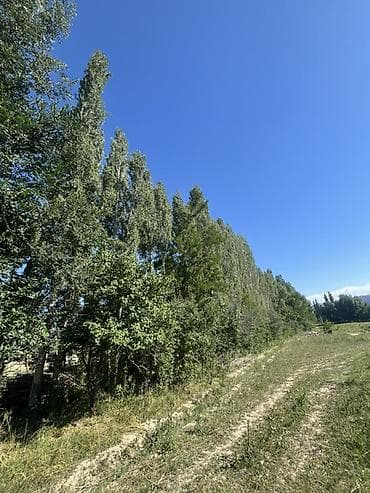 Кыймылсыз мүлк: 30 соток, Курулуш, Кызыл китеп — 8