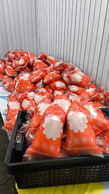 Продаю | Петух, Куры | КОББ 500, РОСС 308 | На забой