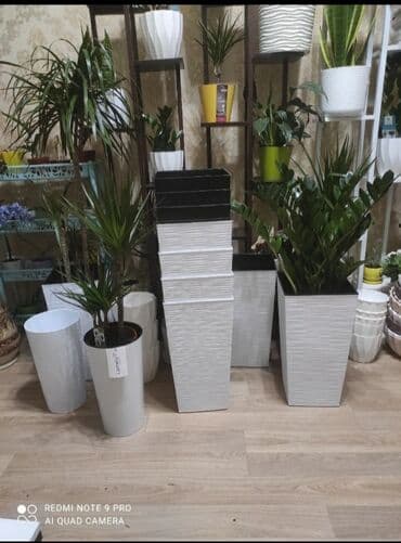 купить большой горшок для цветов: Кашпо — 3
