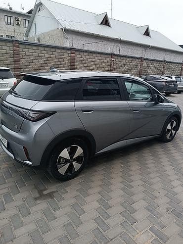 lt 46: BYD Dolphin: 2023 г., Электромобиль, Хэтчбэк — 4