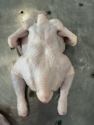 ТУШКА ТООК ЭТИ САТЫЛАТ🍗 Грильный весь1,3-1,6 кг га чейин 240сом — 2