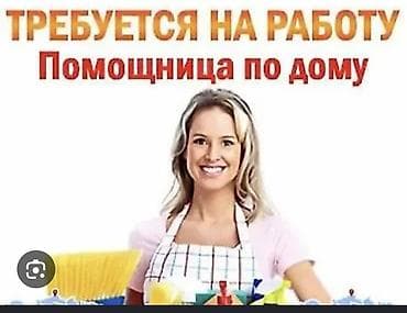 работа для нянь: Услуги домашней помощницы / няни Профессиональная помощь по дому и — 1