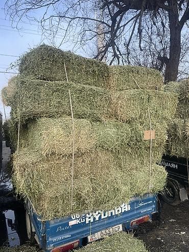 Продаю клевер 2 кос. Плотные тяжелые тюки — 1