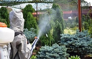 травля муравьев: Сад, участок, деревья, обработка против вредителей, клещей, черепашки — 4