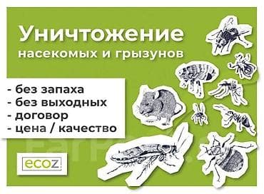 Клининговые услуги: Дезинфекция, дезинсекция, | Клопы, Блохи, Тараканы, | Транспорт, Офисы, Квартиры — 4