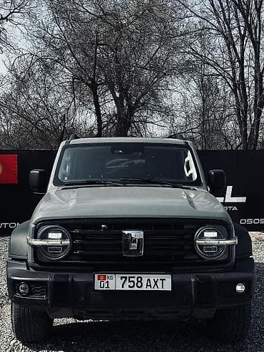 скупка газ: Tank 300: 2022 г., 2 л, Бензин — 1