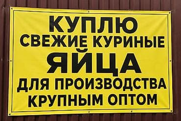 Куплю яйца оптом для производства, ак-куу, жар-птица, соцагро, нужно