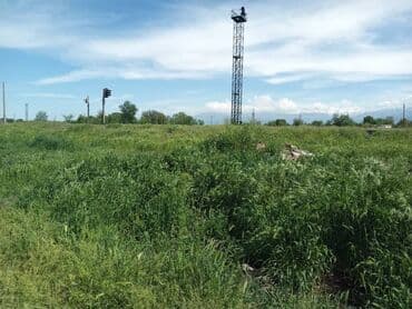 домик совхоз фрунзе: Продаю Ферма КРС, 10 соток, Действующий, Без оборудования, Электричество, Холодная вода — 6