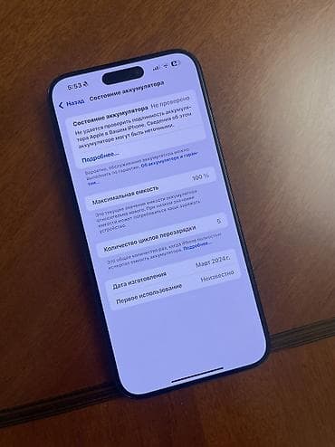 apple 8: IPhone 15 Pro Max, 256 ГБ, Pacific Blue, 100 % — 6