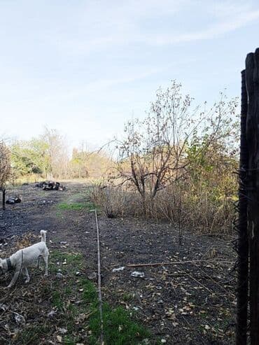 продаю дом рабочий гарадок: Дом, 80 м², 6 комнат, Собственник, Косметический ремонт — 11