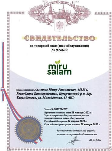 русская: Сироп «ANTI PARASITE / АНТИ ПАРАЗИТ» MIRUSALAM - Формат: сироп - — 5