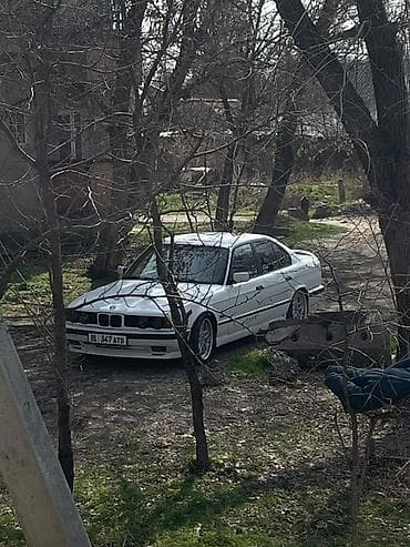 эо 3323: BMW 5 series: 1990 г., 3.2 л, Механика, Бензин, Седан — 3