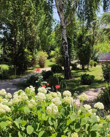 продаю дом с ленинское: 200 м², 5 комнат, Забор, огорожен — 2