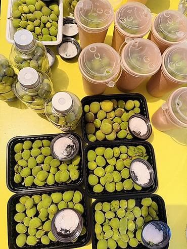 арбуз алам: Абрикосы В розницу — 2