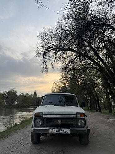 ВАЗ (ЛАДА): ВАЗ (ЛАДА) 2121 (4x4): 1983 г., Ручные, Внедорожник — 1