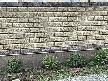 суданская: 💯 Гарантия качество🔥 Кок жар,Алатоо,Бектоо,Алтын Ордо,Мурас Ордо,Оскон — 1