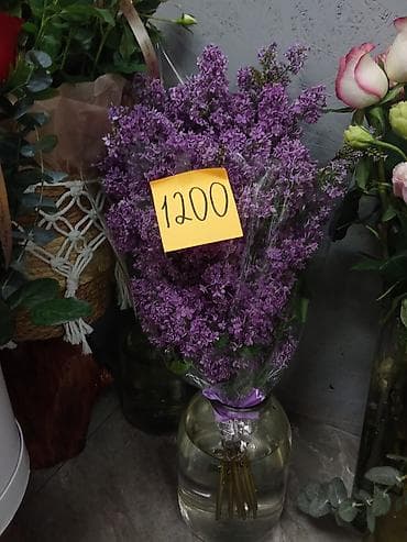 букет сирень: Сирень — ароматные сезонные букеты и композиции. - Букет сирени в — 2