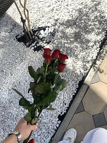 Ищу подработку на дневную смену. график можем обсудить. мне 18 лет