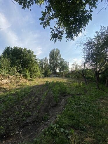 дизель сдам частный дом без хозяина в бишкеке: Үй, 1 кв. м, 3 бөлмө, Менчик ээси, Эски ремонт — 7