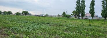 срочно продаю в связи с переездом: 200 соток, Для сельского хозяйства, Тех паспорт, Красная книга — 6